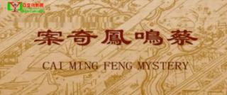 【1金福利计划启动】蔡鸣凤传奇 上 简介相公出门做生意，娘子与杀猪人同奸。。。。。。