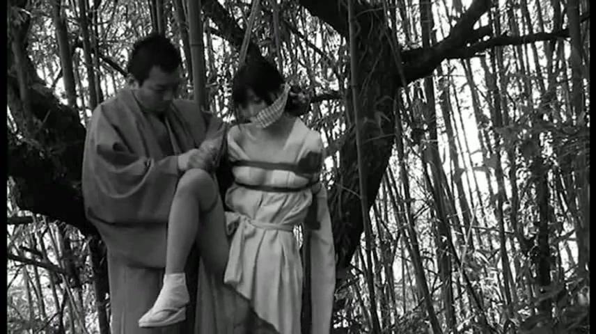 VAN-001 七菜乃野外捆绑 VAN-001 インソムニア・ボンデージ 不眠の緊縛密儀，七菜乃与绳师一鬼のこ合作作品。野外口枷堵嘴及日式吊绑，全片还算是蛮好看的，可惜不能发……