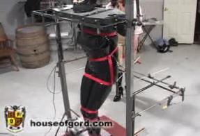 貌似是很著名的系列hose？ 别说价格太低，打屁股打的很爽