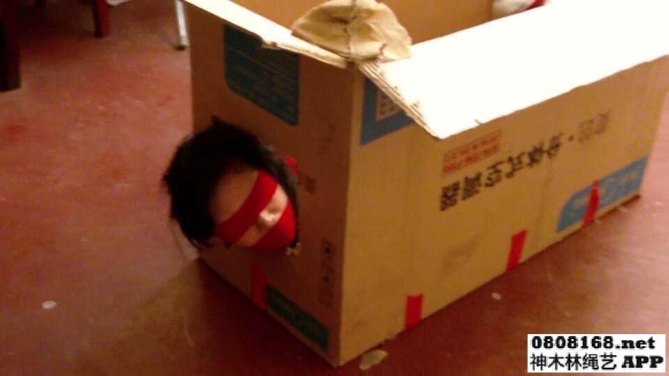 缚美礼品商店(馨媛版)1：护士装箱，这个商店可以买到蒙眼堵嘴捆的美女，还帮你打包装箱。      有那么一家商店，它不买别的只卖绳艺美女，服务态度还特别好，去光顾的话还帮你打包装箱，<br>如果各位有兴趣，请光顾缚美礼品商店（逍遥版礼品店是翻拍此片。）。<br>    <br>    第一集是贩卖护士。<br><br>    本次两个版本的视频都是高清版<br><br>    视频库版无需解压直接下载，百度网盘版下载后需要解压，解压码：0131<br>