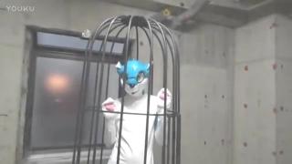 kemono cat suit girl kemono cat unmask the fursuit