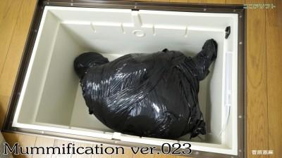 Mummification ver.023 Mummification ver.023<br>品番: coma-023<br>美女全裸被保鲜膜 胶带双重包裹严实，关进地下暗格内通过监视器查看情况无限跳蛋遥控强制高潮放置40分钟才放出～！