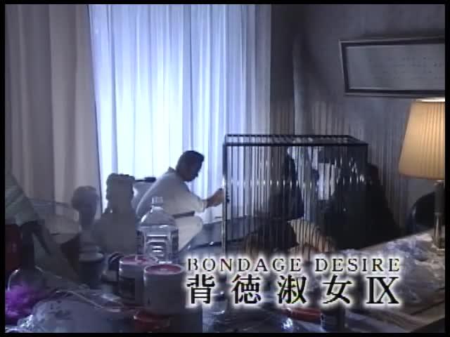 背徳淑女9 瞳リョウ 主演：瞳リョウ<br>番号：VS571<br>剪切后片长·15分33秒<br>美女被锁狗笼，全身涂液体乳胶，铁链捆绑，画面很有美感。