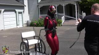 2010-07-13_-_Raunchy Red Pony at the Schloss 家具系列，车夫                            <br>                        <br>                                