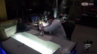 [Three Studio] Crazy Scientist Pt. 1 -- The Psychological Test  ©Three Studio