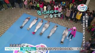 综艺节目 这就是生活  综艺节目 这就是生活 <br>好多蚕宝宝