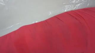 红色的禁锢 一个红色木乃伊的挣扎