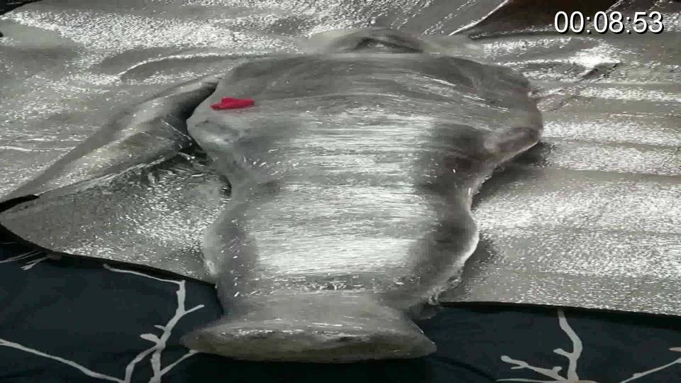 穿全包胶衣后再被保鲜膜包裹  
