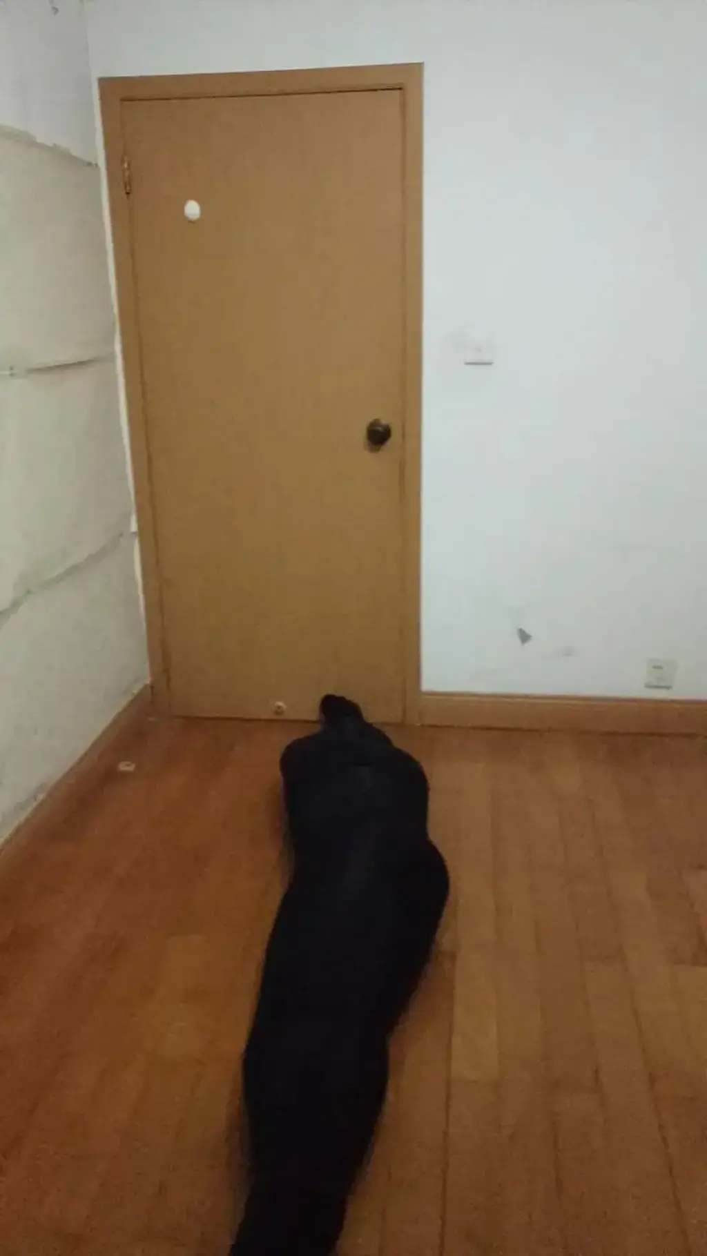 来一个黑丝全包 前面都是肉丝全包。<br>先用一条丝袜遮住自己的丑脸????。<br>再穿上两条发亮的冰丝紧身衣，滑滑的感觉真是好，要是有个伴就好了。<br>刚买了一条黑丝看看效果怎么样？<br>有冰丝紧身衣是好，丝袜也滑很顺利的进去了。<br>要不是天热，真想在里面多待一会。舒服刺激！