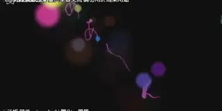福利3 给大家来波福利。