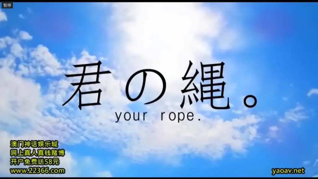 君の绳 番号：<span style='color:#b0b0b0;'>[隐藏文字，购买后可见]</span><br>一部你的名字同人作品，捆绑元素很多，但大多过于和谐给剪了，留下车牌，给大家寻路用。