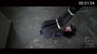 Catwoman Struggle https://www.clips4sale.com/studio/60717/19493717/Catwoman Struggle