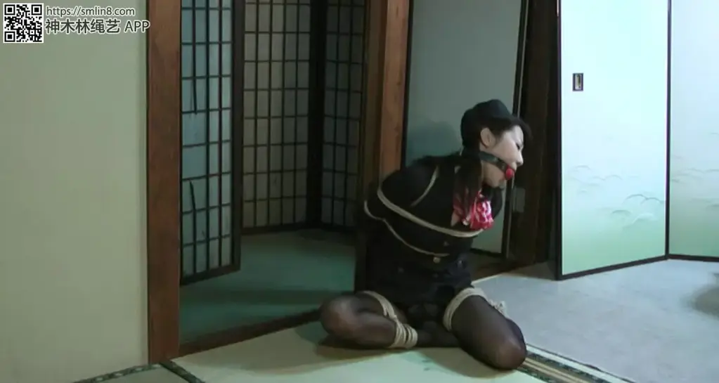 暗黒のフライト <span style='color:#b0b0b0;'>[隐藏文字，购买后可见]</span><br>ジャンル：緊縛・ボンデージ<br><span style='color:#b0b0b0;'>[隐藏文字，购买后可见]</span>