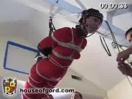 HogtiedGwen2_WMV-Big 喜闻乐见hog片