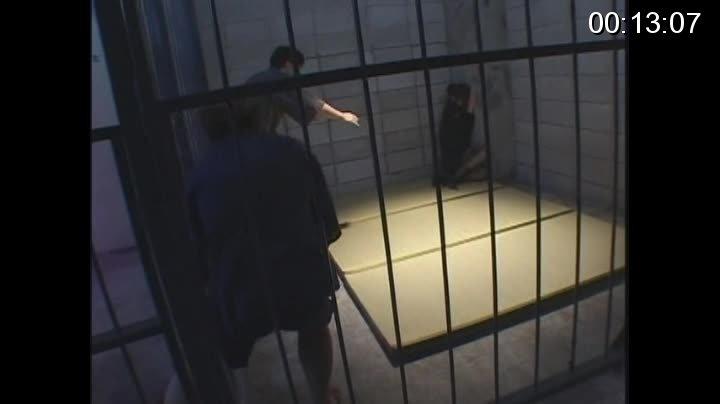 キャビンアテンダント 恥辱の監禁フライト 原千尋 識別碼: <span style='color:#b0b0b0;'>[隐藏文字，购买后可见]</span><br>導演: ビンス東郷<br>製作商: アタッカーズ<br>發行商: 死夜悪<br>演員:愛咲れいら（原千尋）