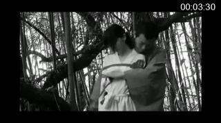 日式野外捆绑 像素略渣，看看就好，黑白画风。。。野外的捆绑。。