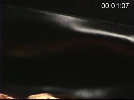 WMBCV系列（也称咖啡）-0267 欧美WMBCV系列，这是老品牌了，质量有一定的保证。模特基本上没有丑的，捆绑手法也都非常精细，而且绝对不会有涉黄部分，完全是纯粹的绳艺片。（凑满五十字了吗？可是我觉得实在没有别的东西可以说了……？）