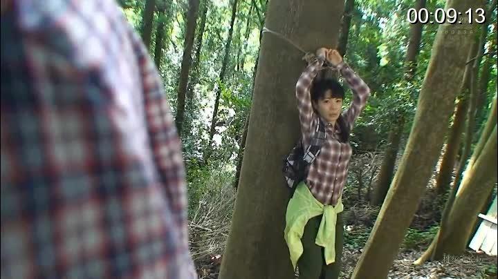 山小屋従業員からの投稿 美人登山者が狙われた！ 実録！山ガール登山道拘束凌辱レイプ7 最終回 登山道で拘束され辱めの格好で凌辱される山ガールに助けは来ない… 識別碼: <span style='color:#b0b0b0;'>[隐藏文字，购买后可见]</span><br>製作商: レッド<br>發行商: レイプ<br>系列: 山小屋従業員からの投稿美人女性登山者が狙われた！山ガール登山道拘束陵辱レイプ<br>演員: 暫無出演者資訊