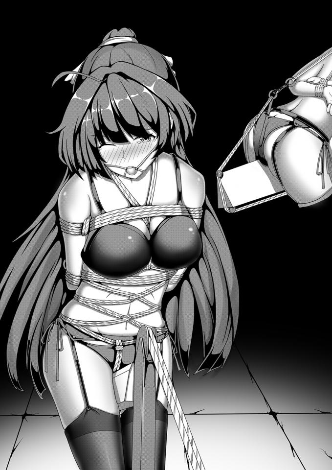  [Gag,Underwear,雷电·芽衣]