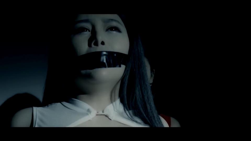 凶手 A Chinese Hannibal 汉尼拔 . 1080P 故事简介 Plot Summary: 电影《凶手 A Chinese Hannibal 汉尼拔》讲述一个变态杀手，从小失去了父母的爱。没有家庭，没有朋友，没有恋人。什么都没有的他开始走上了犯罪的道路。一个一个可爱美丽的女孩都不幸遇上了这个人。都丧失了生命。到最后，他的生命中遇到了最后一个女孩。从此，便改变了他的生命命运。<br>出品 Produced: 安徽鼎兴 Ding Xing Film<br>导演 Director: 陈润 Chen Run<br>主演 Starring: 潘东, 郑梦瑶, 萧行, 刘小乔 <br>题材 Feature: #犯罪 Crime<br>影片画面偏暗，估计是拍摄的时候怕引起误会才在晚上拍摄，不喜勿下