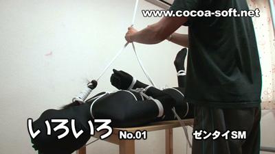 いろいろ No.01 いろいろ No.01<br><span style='color:#b0b0b0;'>[隐藏文字，购买后可见]</span><br>タイトルの通り、いろいろ入っている作品です。<br>作品の収録が短く、１作品としての販売が難しい作品を集めてみました。