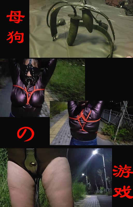 《带着母狗出去玩》凌晨1.30左右，路边露出！ 今天过来了一个母狗，特别的不老实，送给她的东西都被她拔出来乱丢，最后没办法了，只能给她锁起来了，最后对这个母狗做一下点评，欲望太强，不好控制，各位有没有什么办法，这次我放的工具都是充气加电动的，但还是不行。。。<br>本作品属于曼陀罗工作室，大家有更多好的意见或者建议欢迎联系！<br>联系QQ:53967784<span style='color:#b0b0b0;'>[隐藏文字，购买后可见]</span>