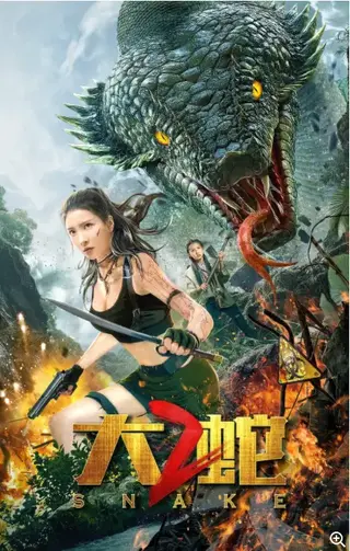 大蛇2 (2019) 导演: 林珍钊<br>编剧: 张圣帆<br>主演: 尹昭德 / 徐晨晨 / 脑门厄尔德尼 / 黄劲棠 / 李若希 / 更多...<br>类型: 冒险<br>制片国家/地区: 中国大陆<br>语言: 汉语普通话<br>上映日期: 2019-12-06(中国大陆)<br>片长: 90分钟<br>魏佳欢生日这天，父亲魏成功陪她登上环海游艇，然而一场突如其来的海难打破了一切，整艘游艇侧翻，众人纷纷落水。 魏成功自哭喊声中醒来，发现自己身处一荒岛，目睹魏佳欢被一巨蛇叼走，于是随众人深入丛林，踏上营救之路。 在这片与世隔绝的丛林里，无数怪异的史前生物暗藏其中，营救女儿的遥遥之途布满杀机。另一边，魏佳欢等人在蛇穴中醒来，在失去规则的封闭环境中，幸存者的人性也承受着巨大考验…