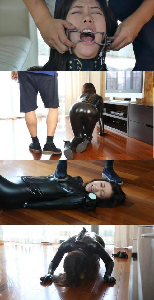 女怪盗重制版 1 剧情大作 清晰对白  连体皮衣胶衣 仙女棒虐乳 强制高朝 踩踏头部 踩踏胸部 虐乳 虐舌 口枷口水  母犬调教  