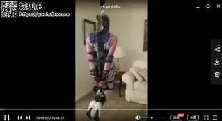 欧美伪娘吊缚 欧美伪娘被吊起来,挣扎无用，视频不清晰，就一金币了。Europe and the United States false niangs are hanged up and struggle is useless.Tied up in the back，The video is not clear, it's a gold coin。