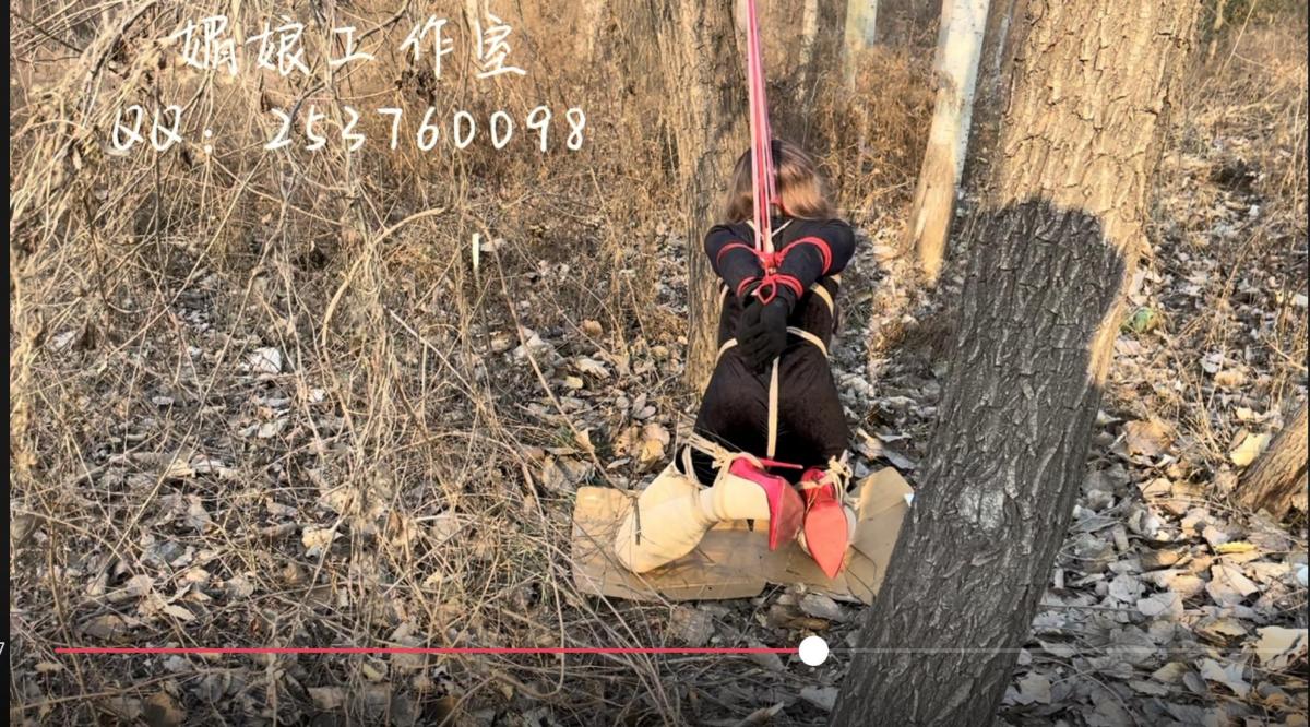 公园路边小树林高手掉  媚娘工作室—粉丝定制，白天室外，肉丝，16公分红高跟。<br>粉丝要求白天，在人流量较多的公园拍摄，外面温度零下1度，模特穿着肉丝，16公分红高跟，旗袍，脚和腿绑紧，胳膊和手直缚，从背后掉起，头套塑料袋，周边一直人来人往，感谢各位粉丝的支持，我们是真实的M和S，欢迎各位粉丝定制，出售原味，问题咨询：QQ253760098