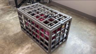 The poor, poor kitten Naughty rubber cat in a cage.<br>关在笼子里的顽皮橡皮猫