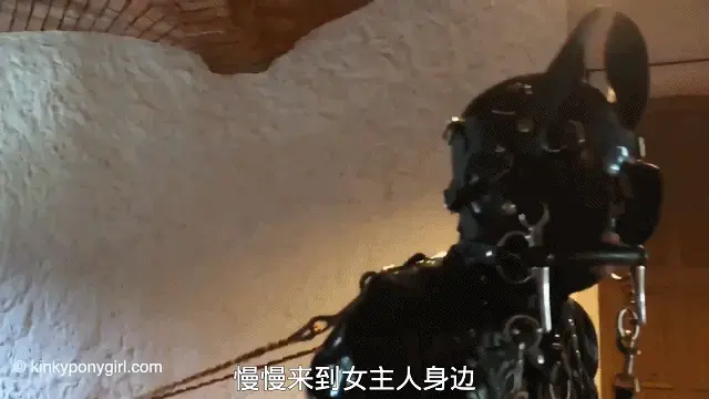 Pony Boy F 【中文乳胶小马伪娘】她让他穿上皮革和乳胶的衣服，穿着带马蹄铁的皮马靴，带小嘴的不可思议的小马头套，大尺寸的球嘴，然后把头关在笼子里，锁在屈服状态。看着她以一种亲密的感官方式控制他，这也在用束缚和极端的鞋子挑战他（他不能忍受太久！）A glimpse into the erotic world of pony play with Domina Anna Rose holding the reins. She has him dressed in leather and latex, wearing leather pony boots with horse shoe iron, incredible pony head harness with bit gag, large sized ball gag and then head caged, locked into submission. Watch her take control over him in an intimate sensual way that is also challenging him with bondage and extreme footwear (which he can’t endure for too long!)