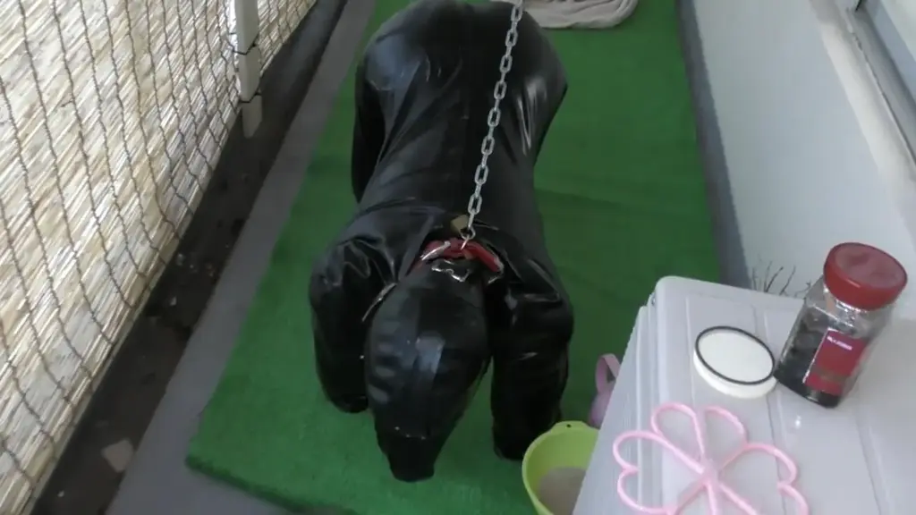 Rubber Dog4.5 (ヒトイヌ生活　その２）part2 品 牌︰ The 俺の世界<br><span style='color:#b0b0b0;'>[隐藏文字，购买后可见]</span><br>分辨率: 1280x720<br>总规模: 1.94GB 1.63G<br>播放时间: 27分32秒 23分10秒<br>庫存狀態︰ 有庫存<br>她实际作为狗生活着。<br>这个视频，是那个记录。<br> <br>我到她提高了奖赏。<br>那，是爱很多她。<br> <br>作为她的生活空间，改造了阳台。<br>把特别的饵做成了她。<br>这个饵，搀和狗饲料和香蕉和营养补品。<br> <span style='color:#b0b0b0;'>[隐藏文字，购买后可见]</span>