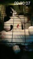 兽装人犬铁笼内挣扎 推特小视频