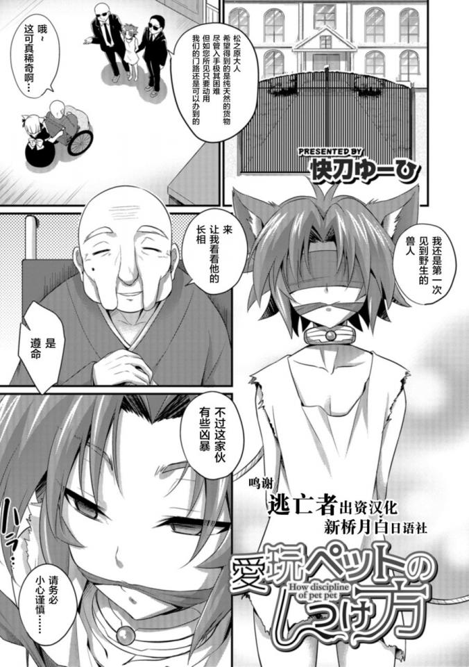 [快刀ゆーひ] 愛玩ペットのしつけ方 I+II+Extra [中国翻訳] [DL版] - 第一张就是封面哈 [猫耳,堵嘴,日本动漫,狗链/项圈]