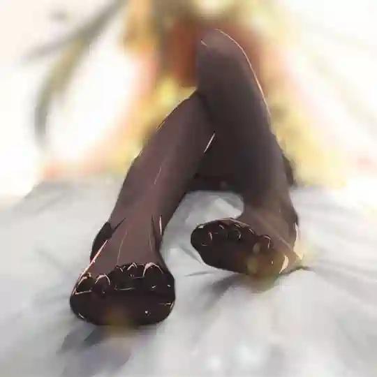 足控 [丝袜]