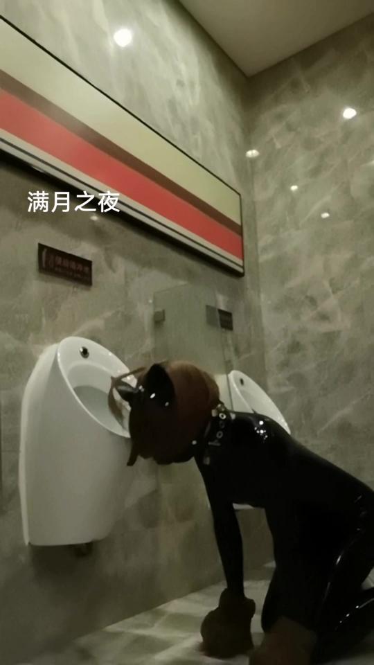满月之夜 胶衣公厕自拍 胶衣 旗袍 狗面具 项圈，在酒店男厕的自拍录像