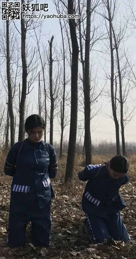 新法治片《丽人恨》 大家期望已久的这部经典之作《丽人恨》终于出炉了，这是一部难得的好片，剧情丰富多彩，反应年轻女子为了一时的私欲走上犯罪的不归路，预知结局请欣赏原视频QQ461999667 