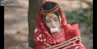 红衣女子被绑 红衣女子被绑，嘴上塞上白布，挣扎不能解脱