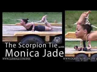 Monica Jade in The Scorpion Tie Monica Jade tells me she wants to try something tough. I am hardly one to tell a girl now so I decide that I'm going to put her in a modified Scorpion Tie. We start by tying her elbows together, while Brenda and Les are very audible in the background shooting for . I take her wrists and tie them together in front of her so that she cannot move them any at all. I cross her ankles in front of her and add in some toe bondage to make her particularly uncomfortable. She gets flipped over on the big cart she is reclining on and then I start binding her knees together.<br>Her ankles end up pulled up and anchored against her elbows and she can't move at all. I go ahead and add in some hair rope to make sure her face won't rub on the bare plywood even while there is spanking and loud noises in the background while a girl struggles to handle some other bondage. I bind her hair against her ankles and pull it up in between her toes to make sure she isn't moving anything. We pan back to give a good shot of her struggling to handle the bondage. I don't gag her just so you can hear her complain about how much the bondage sucks.<br>(Bonus clip - 8 minute escape Monica Jade)<br><br><span style='color:#b0b0b0;'>[隐藏文字，购买后可见]</span>