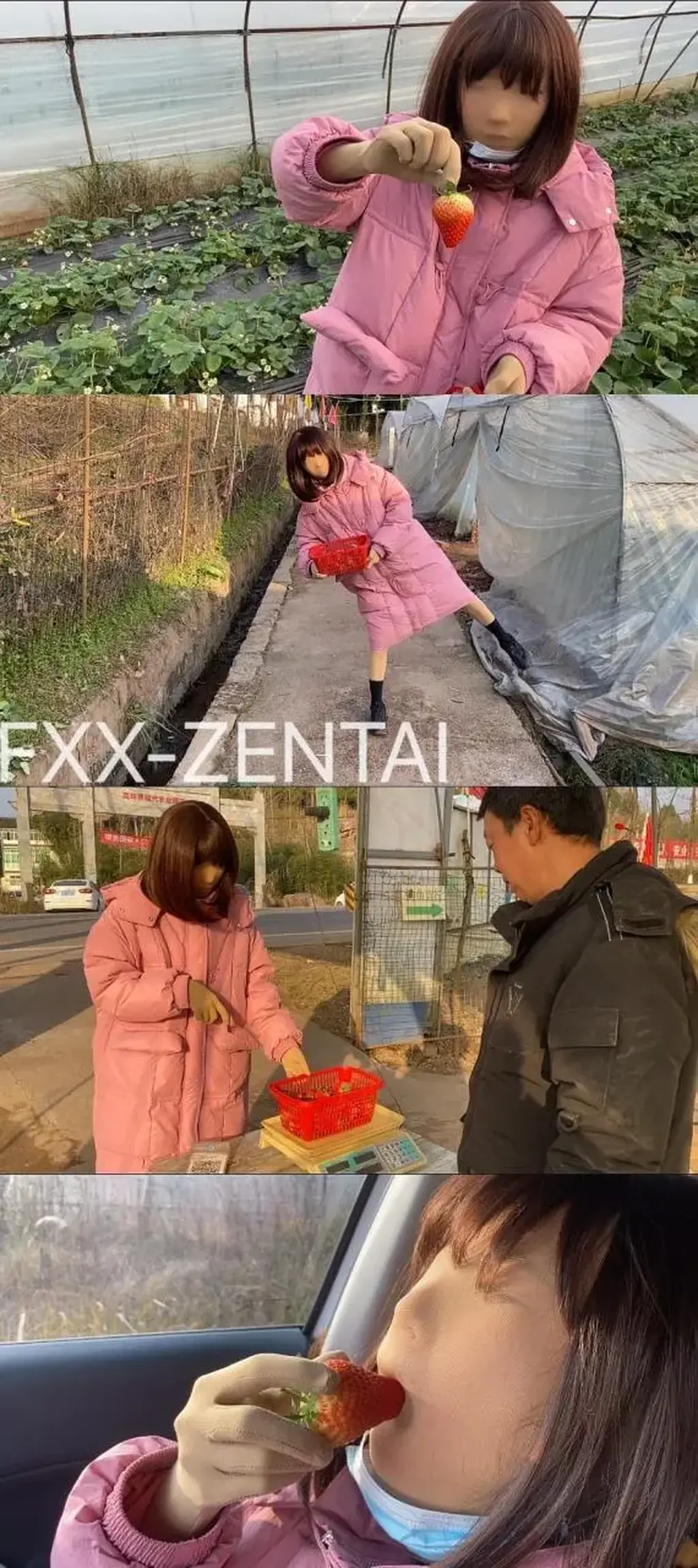 【ZENTAI】继爱姬老前辈后。咱们也穿着zentai全包去草莓采摘园了~走另类的路线，展示个人的风采，不为别人的言论和目光所活 本来只是临时说起zentai外出逛逛乡镇的。结果还没有到目的地，看见一个草莓采摘园，于是乎，在她的强烈要求下，就这样全包着去摘草莓了，跟老板面对面的议价，求老板的内心揣摩内容呀~<br>zentai爱好视频，不喜勿喷，只是单纯的个人爱好，走另类的路线，展示个人的风采，不为别人的言论和目光所活，寻求裸露刺激感~