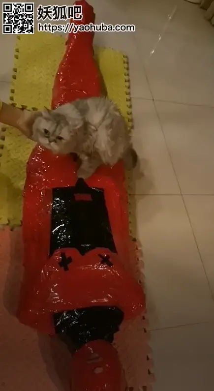 猫咪的木乃伊玩具 猫咪的木乃伊玩具，这边在上海，请确定约玩或者定拍的二选一联系QQ49917808或者微信mykbsm，加的时候务必标明“妖狐吧”以及来意，ps：如果s来加的话，应该除了定拍就没有交集了，所以请各位慎加，谢谢～
