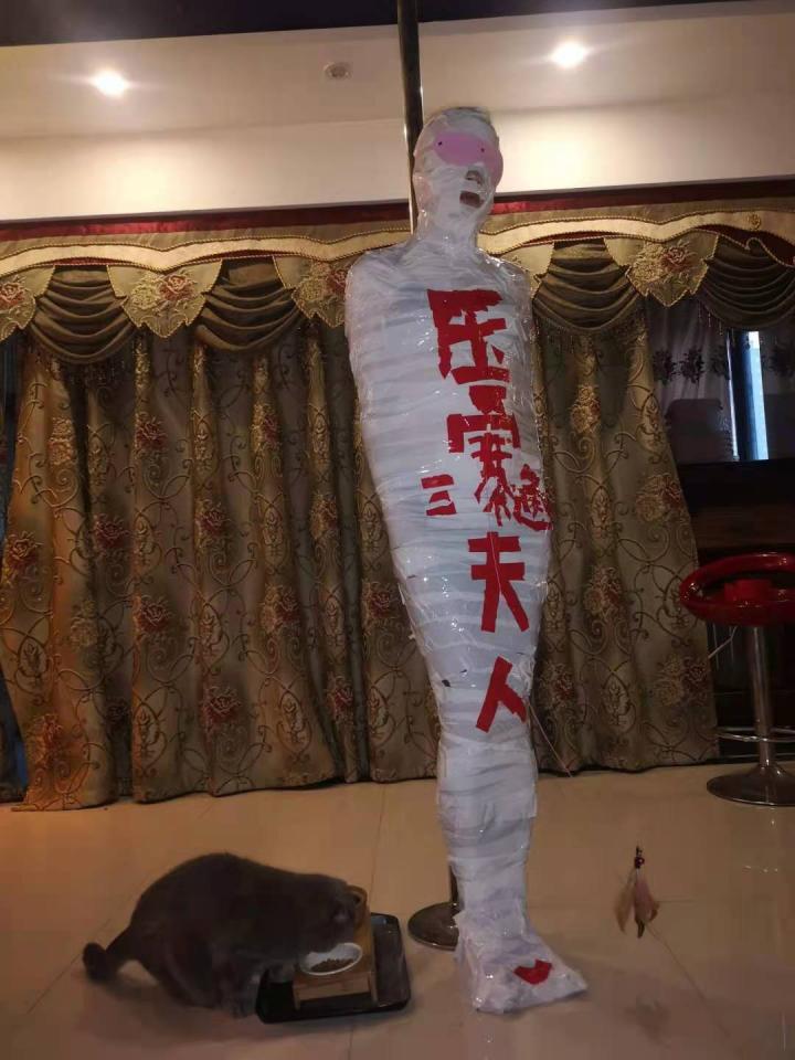 压寨夫人木乃伊之巨型猫抓板逗猫神器 解压密码12345，压寨夫人木乃伊之巨型猫抓板逗猫神器，这边在上海，请确定约玩或者定拍的二选一联系QQ49917808或者微信mykbsm，加的时候务必标明“妖狐吧”以及来意，ps：如果s来加的话，应该除了定拍就没有交集了，所以请各位慎加哦，谢谢～