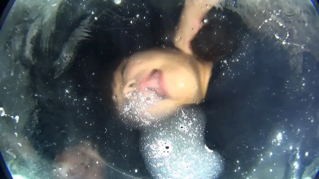 ダブルバーチャルレズベロキス 2 识别码：<span style='color:#b0b0b0;'>[隐藏文字，购买后可见]</span><br>发行日期：2019-03-01<br>导演：FETI072<br>制作商：ゑびすさん/妄想族<br>发行商：ゑびすさん/妄想族<br>视频太大上传不了，被我剪掉了一半多 番号放在上面了