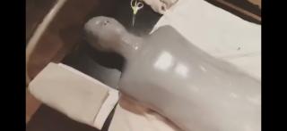 胶带木乃伊 内容精彩，欢迎观看