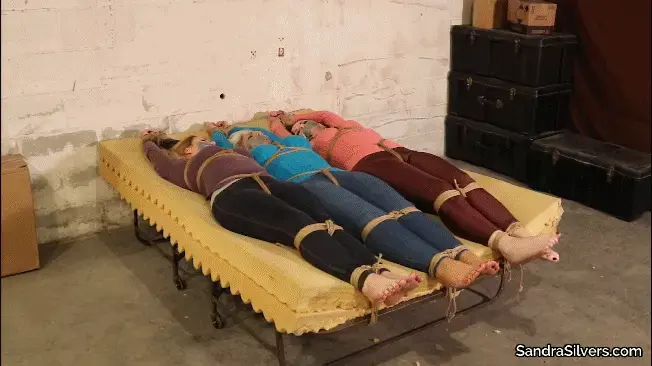  2598 Sandra, Caroliine &amp; Lisa Sweater-Bound Escape Attempt Down in the basement, surrounded by packing boxes and trunks stacked up high, lay three sleeping gals on the bare foam mattress of an old sprung fold out bed. They’d do well to rest their eyes and bodies, for soon they’ll awake and realize the bound predicament they are all in! Gagged with strips of duct tape, rope encircling each of them from ankles up over ample hips, to big breasts in three sizes of magnitude stretching the fabric on wool sweater-clad chests, and on up to their wrists stretched out over their heads. Long locks shimmer - on blonde, silver and black haired heads - as the gorgeous gals start to stir and look from their own tightly tied ropes to each other’s gagged and pleading faces.  Their bare feet wriggle wrinkled soles, toes point and flex as they feel the air around them, shoes and socks missing from under their skin tight jeans and spandex leggings. Their thoughts turn to those of escape attempts, and the trio of MILFs must team up to free themselves from the bondage and make a run for it<br><br><span style='color:#b0b0b0;'>[隐藏文字，购买后可见]</span>