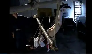 吊绑美丽女仆 吊绑美丽女仆<br>希望大家喜欢