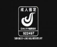 奴隷秘書 03 张扬的秘书被同事捆绑 情节片