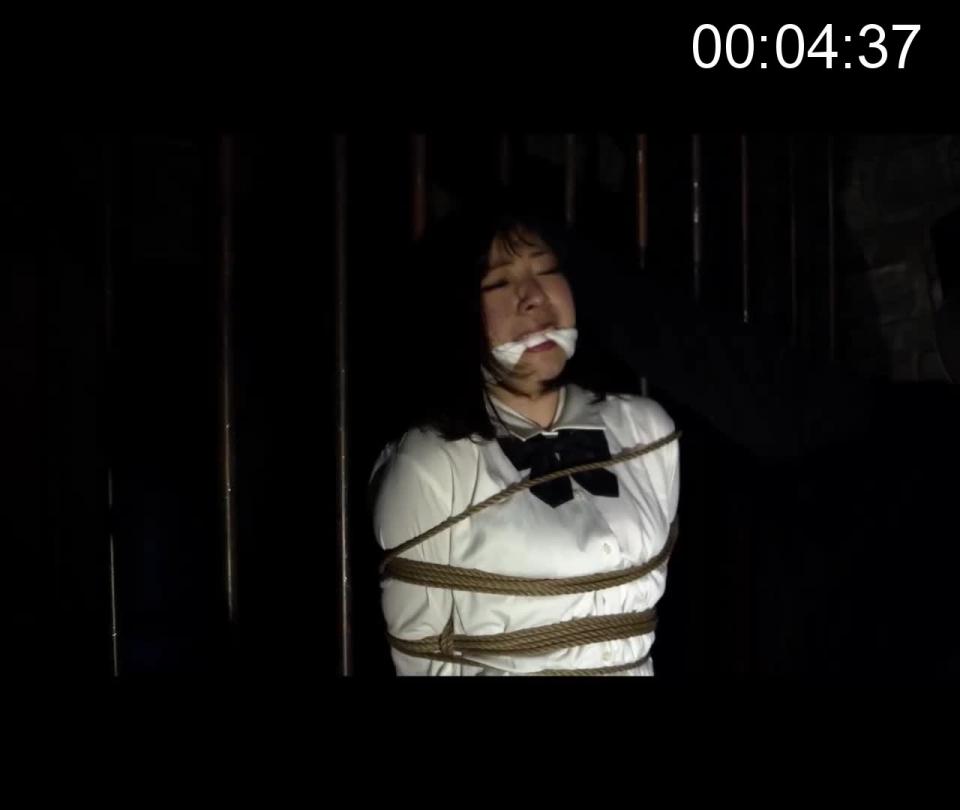 動画/MP4 #128「女学生ヒトイヌ調教日記2 (32分)」 A teen girl student is kidnapped, confined and whipped.<br>She is dressed in a catsuit, covered with a full-head mask, and her mouth is covered with a ball gag.<br>And she is put on a puppy mask and trained. She is further restrained in a puppy play suit up to her limbs and trained as a puppy.<br><span style='color:#b0b0b0;'>[隐藏文字，购买后可见]</span>