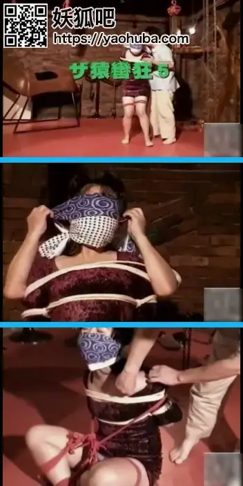 ザ・猿轡 5 ザ・猿轡 5<br><span style='color:#b0b0b0;'>[隐藏文字，购买后可见]</span><br>描述：ザ・猿轡 5，美女捆绑蒙眼猿轡绑架折磨，喜欢的请大家支持一下吧
